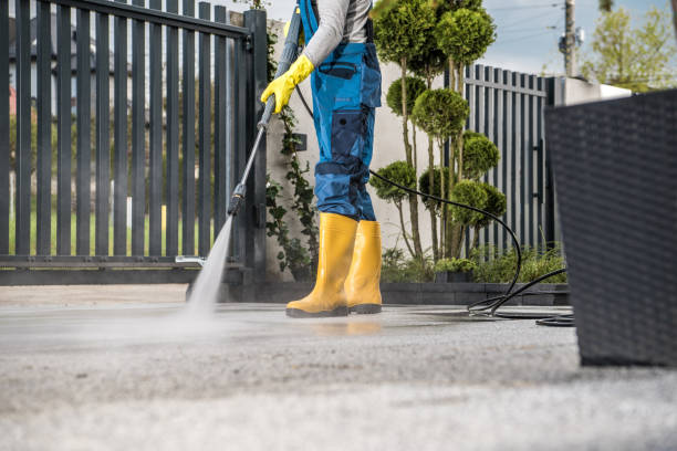 Best Solar Panel Cleaning  in Califon, NJ